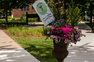 Photo of the Garden of Hope and Healing located in Bryn Mawr.