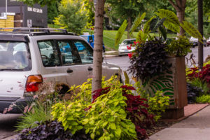 Photo of street outside Cuppa Java in Bryn Mawr.