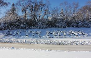 Winter Hedge